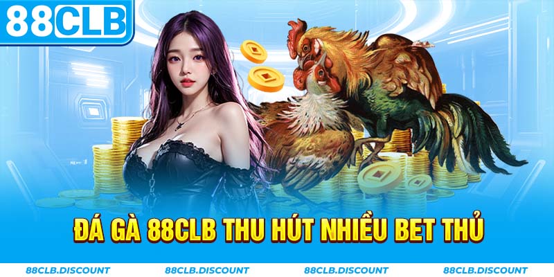 Đá gà 88CLB thu hút nhiều bet thủ