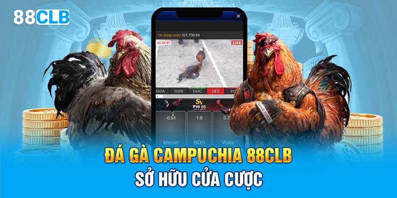 Đá gà campuchia 88CLB sở hữu cửa cược