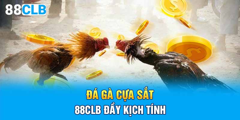 Đá gà cựa sắt 88CLB đầy kịch tính