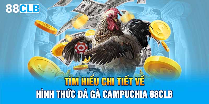 Tìm hiểu chi tiết về hình thức đá gà Campuchia 88CLB