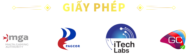 Giấy phép hoạt động của 88CLB